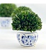 Boxwood Ball Topiary in Round Bulb Blue & White Ceramic Pot