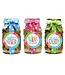 Cookie Jar - Bright Stripe