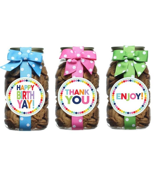Rainbow Dot Chocolate Chip Cookie Pint Jar