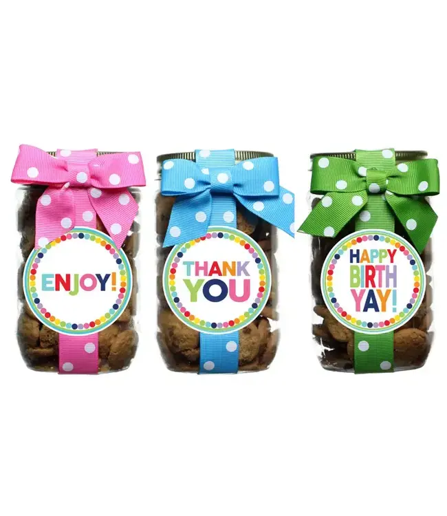 Rainbow Dot Chocolate Chip Cookie Pint Jar
