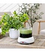 Auto Shut Off Candle Warmer