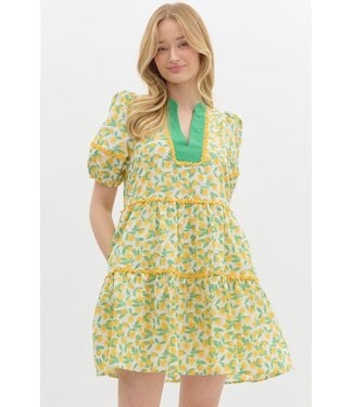 Scarlett Floral Print Band Collar Split V-Neck Pullover Tiered Mini Dress