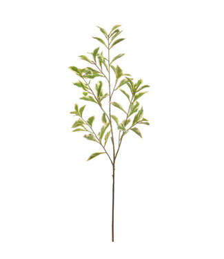 40" Leaf Branch