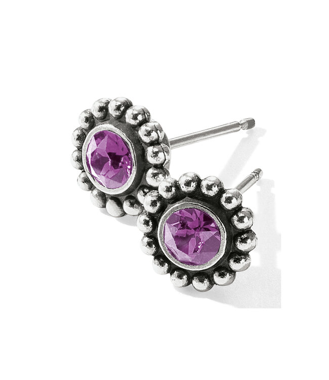 BRIGHTON Twinkle Mini Post Earrings - Amethyst