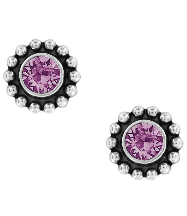 BRIGHTON Twinkle Mini Post Earrings - Amethyst