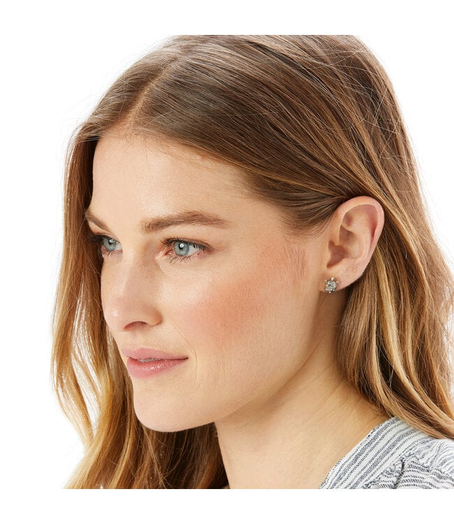 BRIGHTON Fortune Turtles Mini Post Earrings