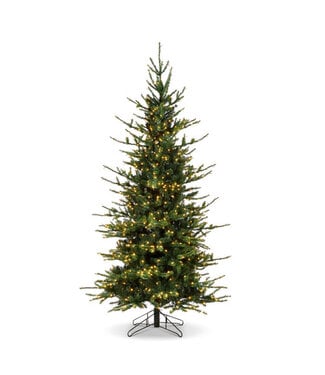 C* 12' Rocky Mountain Spruce with Brilliant LED Lights