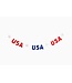 USA Puffy Felt Banner