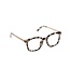 PEEPERS READING GLASSES Limelight