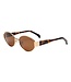 Lennox Gold/Brown Polarized Lens