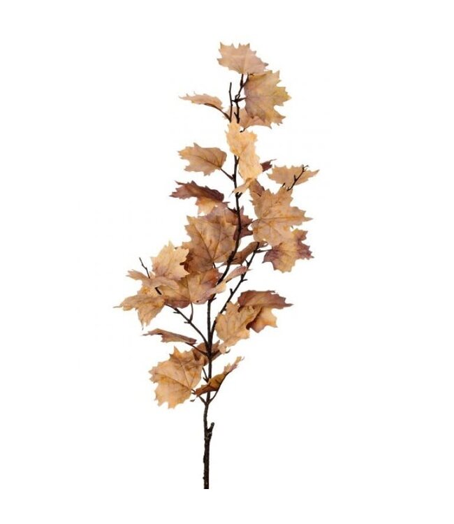 47" Northern Vermont Maple Spray