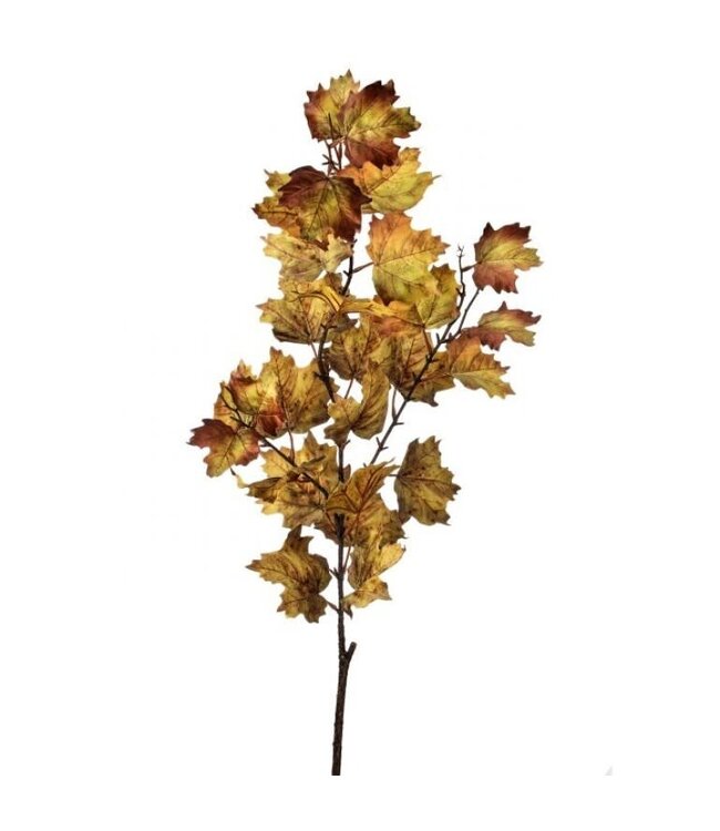 47" Northern Vermont Maple Spray