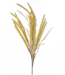 Setaria Spray