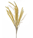 Setaria Spray