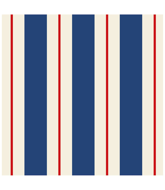 HESTER & COOK COCKTAIL NAPKIN