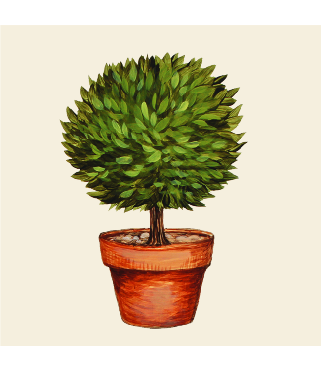 HESTER & COOK COCKTAIL NAPKIN