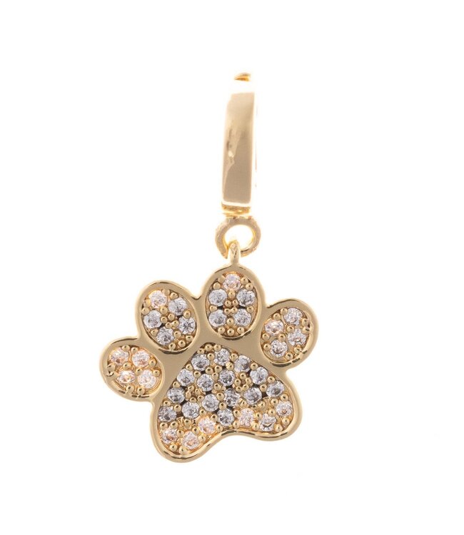 Charm Girls Just Wanna Have Fun