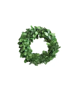 6" Round Preserved Boxwood Wreath