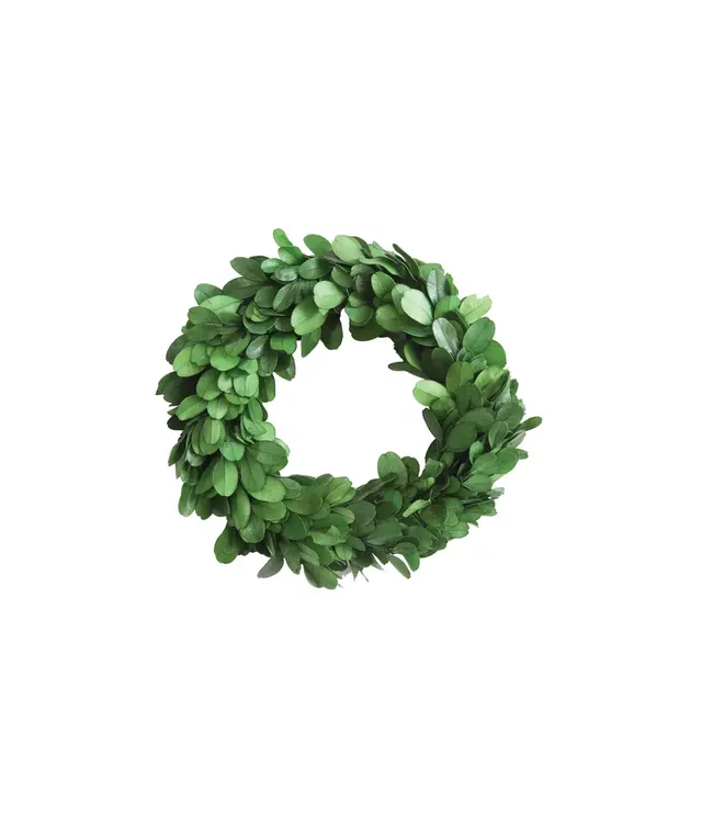 6" Round Preserved Boxwood Wreath