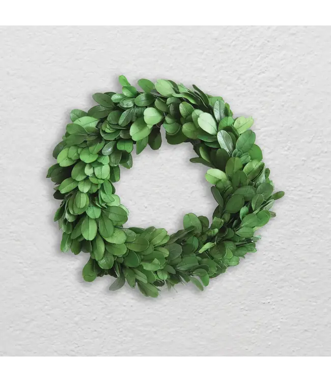6" Round Preserved Boxwood Wreath