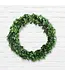 Round Preserved Boxwood Wreath