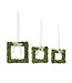 Preserved Boxwood Square Wreaths