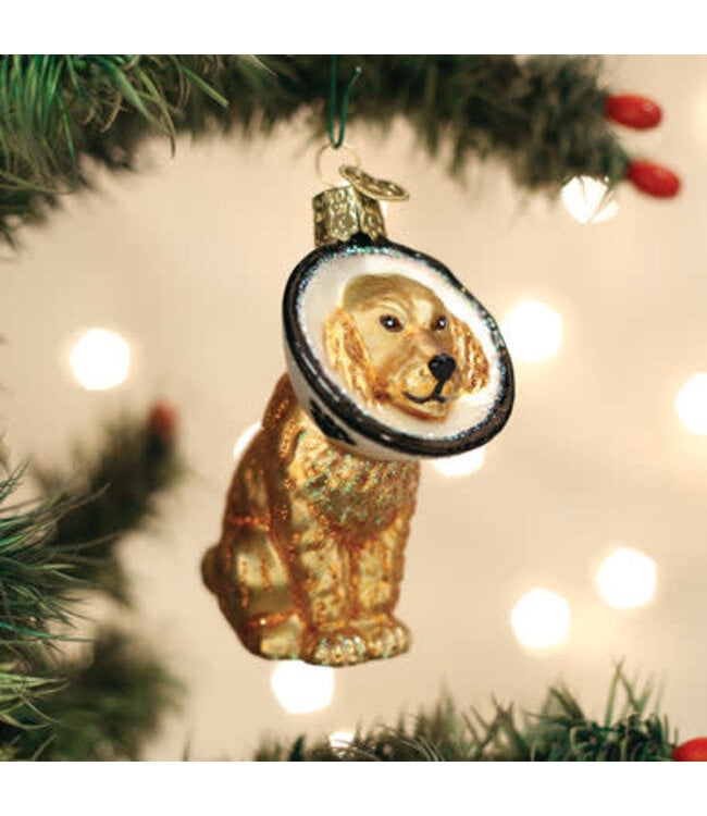 OLD WORLD CHRISTMAS Cone Of Shame Dog Ornament