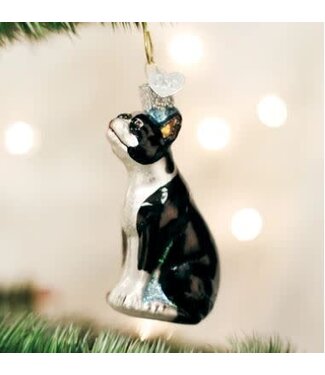 OLD WORLD CHRISTMAS Boston Terrier Ornament