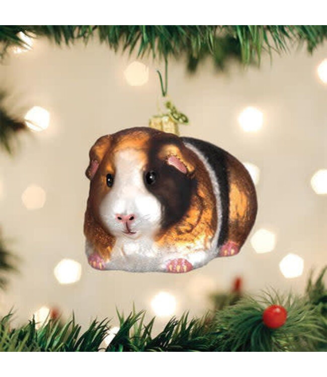 OLD WORLD CHRISTMAS Guinea Pig Ornament