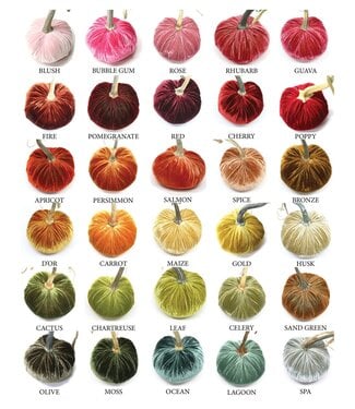 HOT SKWASH 5" Velvet Pumpkin