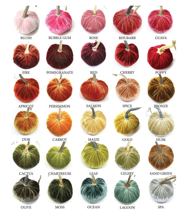 HOT SKWASH 5" Velvet Pumpkin