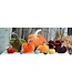 HOT SKWASH 5" Velvet Pumpkin