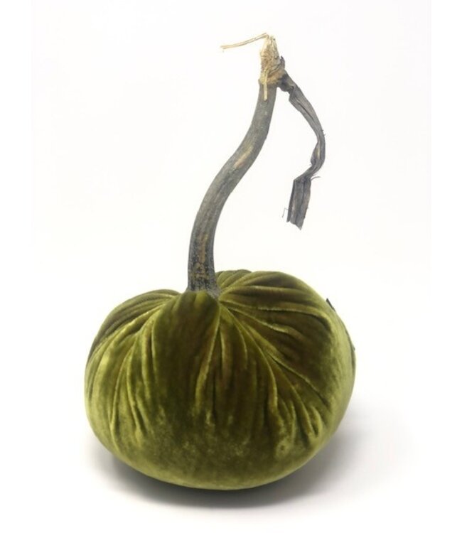 HOT SKWASH 5" Velvet Pumpkin