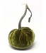HOT SKWASH 5" Velvet Pumpkin