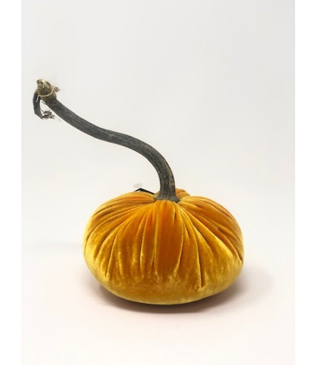 HOT SKWASH 5" Velvet Pumpkin