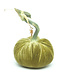 HOT SKWASH 5" Velvet Pumpkin