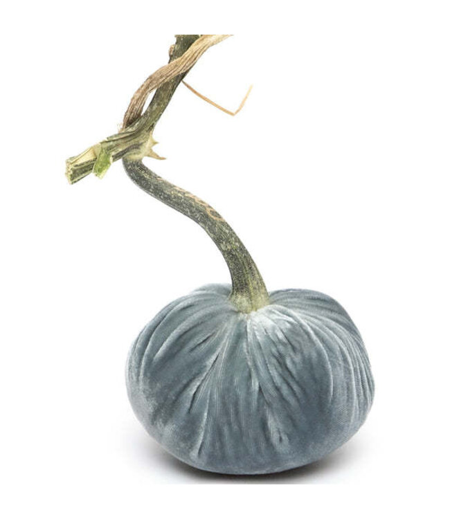 HOT SKWASH 5" Velvet Pumpkin
