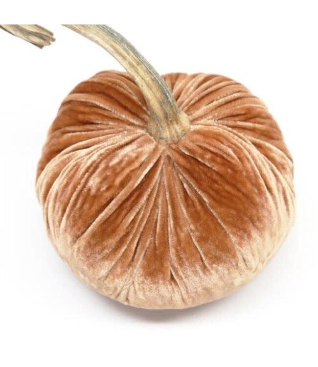 HOT SKWASH 5" Velvet Pumpkin