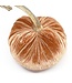 HOT SKWASH 5" Velvet Pumpkin