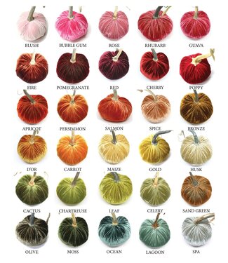 HOT SKWASH 6" Velvet Pumpkin