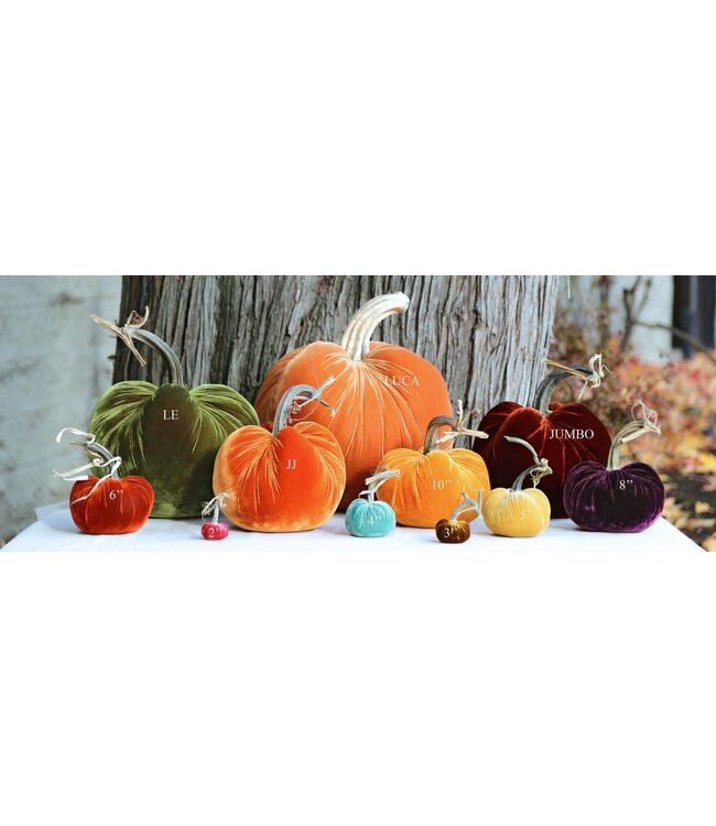 HOT SKWASH 6" Velvet Pumpkin