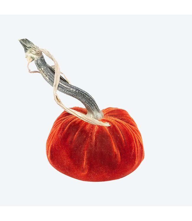 HOT SKWASH 6" Velvet Pumpkin