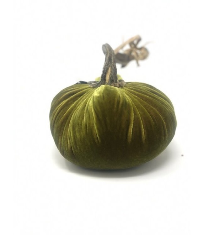 HOT SKWASH 6" Velvet Pumpkin