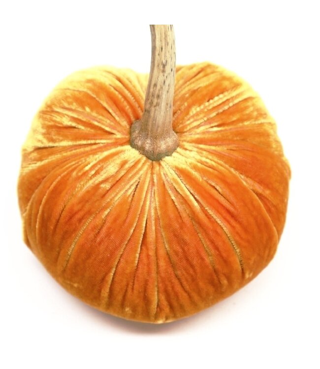HOT SKWASH 6" Velvet Pumpkin