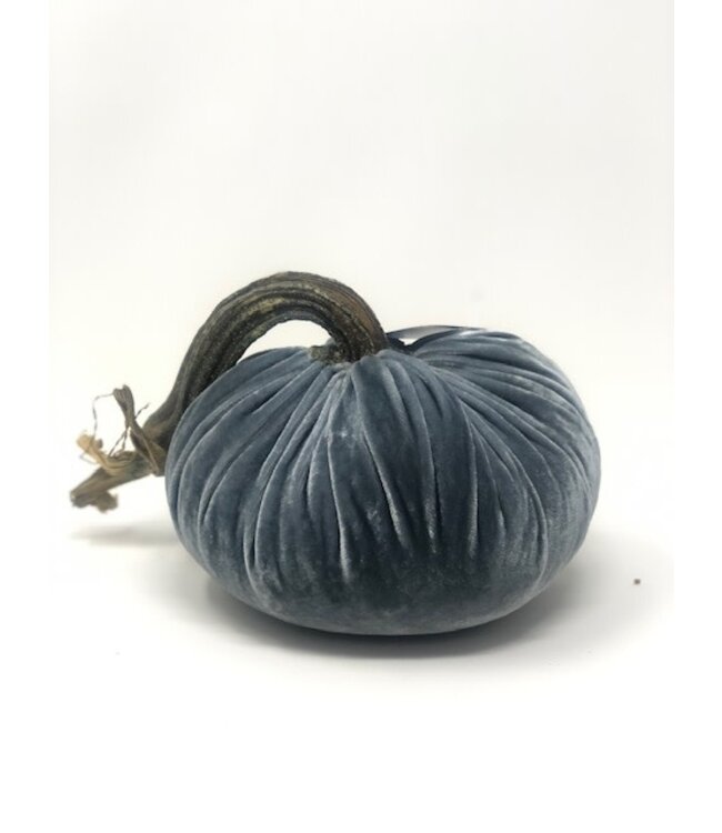 HOT SKWASH 6" Velvet Pumpkin