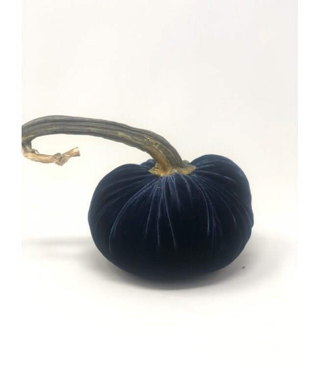 HOT SKWASH 6" Velvet Pumpkin