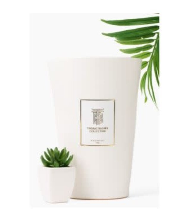 THOMAS BLONDE The 350 oz. Blonde Illusion Candle - Joshua Tree