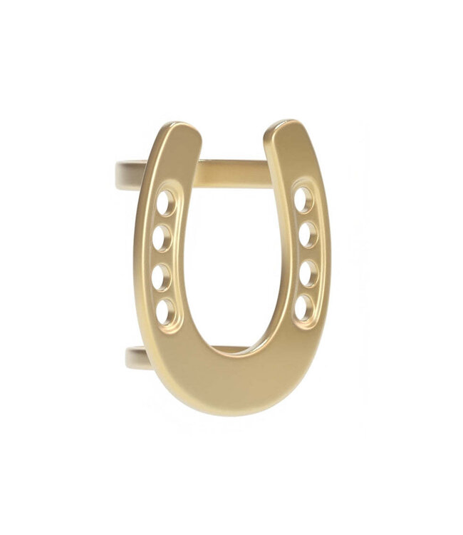Lucky Horseshoe Saturday Scarf Ring