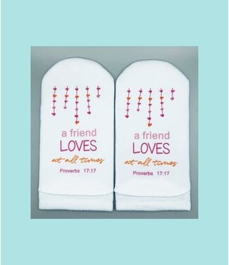 Proverbs 17:17 Friend Loves Socks