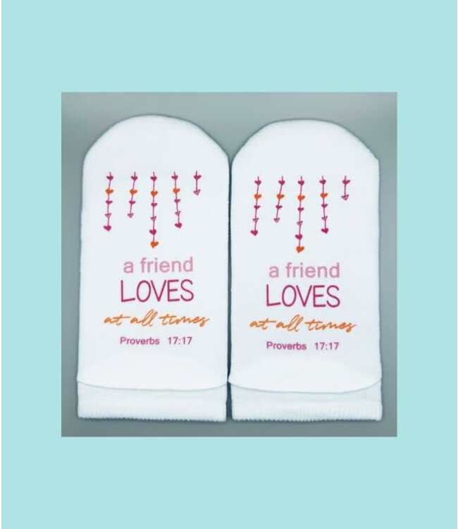Proverbs 17:17 Friend Loves Socks